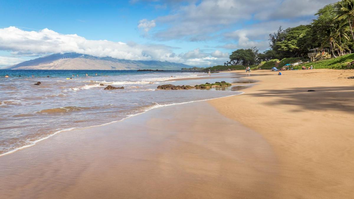 **Newly Remodeled** Steps To Kamaole 3 Beach! Wailea  Exterior photo